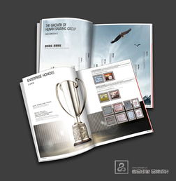 磊洋機(jī)械畫冊設(shè)計(jì)與企業(yè)形象宣傳 專業(yè)品牌策劃與軟件開發(fā)一體化服務(wù)